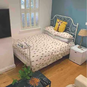 Stylish Modern Studio, Mock Georgian House, Heart Of Trendy Hackney & Homestay London